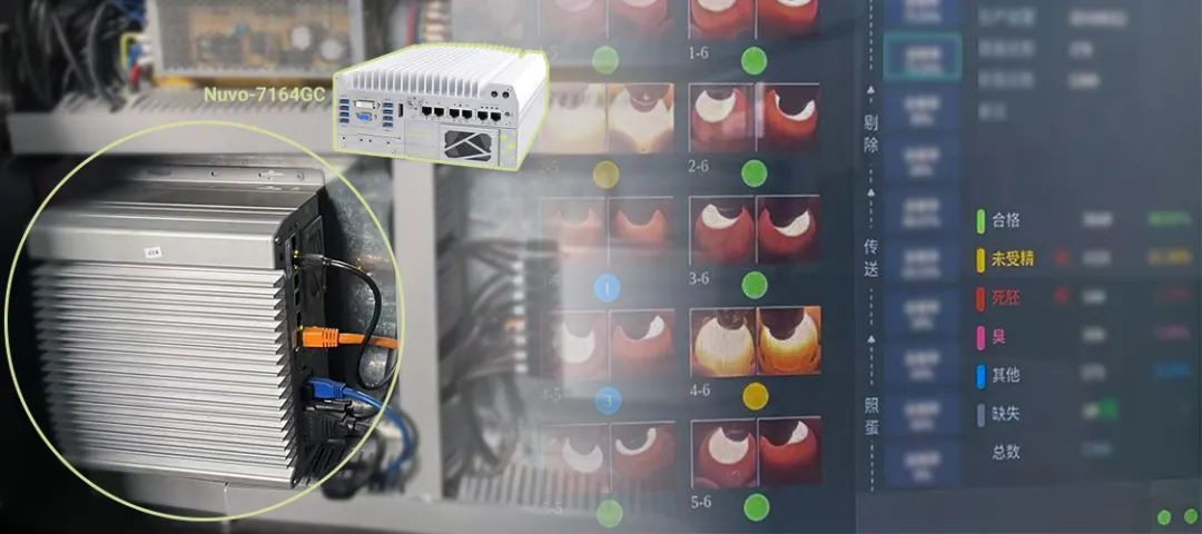 禽蛋胚胎檢測 3.png 禽蛋胚胎檢測 3.png